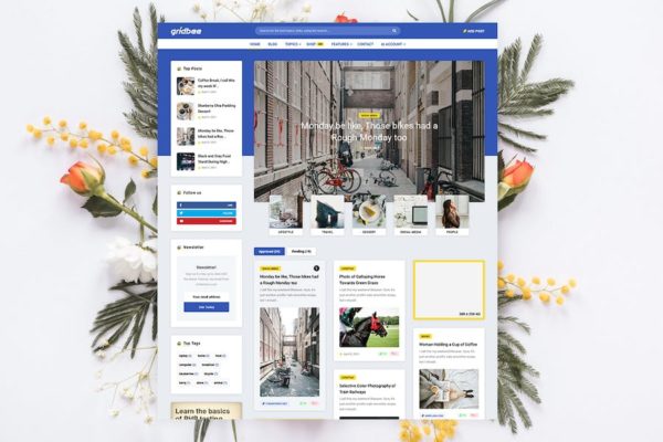 Thème WordPress pour partage de contenu - Gridbee Mag