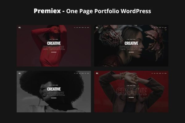 Thème WordPress de Réalisations d'une page - Premiex