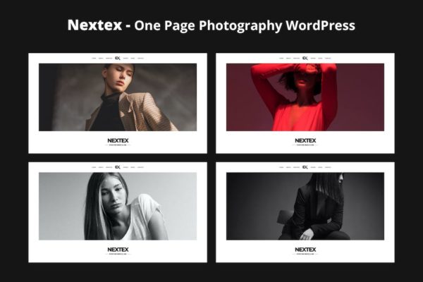 Thème WordPress de photographie d'une page - Nextex