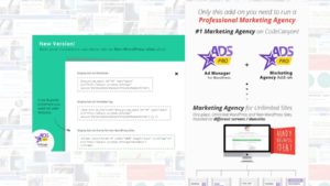 Module complémentaire Ads Pro MA Agence de marketing WordPress
