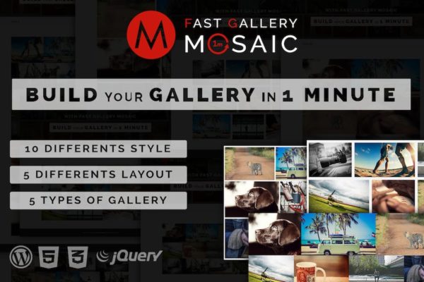 Plugiciels Wordpress Fast Gallery Mosaic