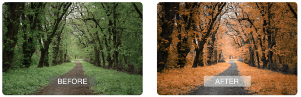 Photographie Pack LightRoom Preset - Signatures