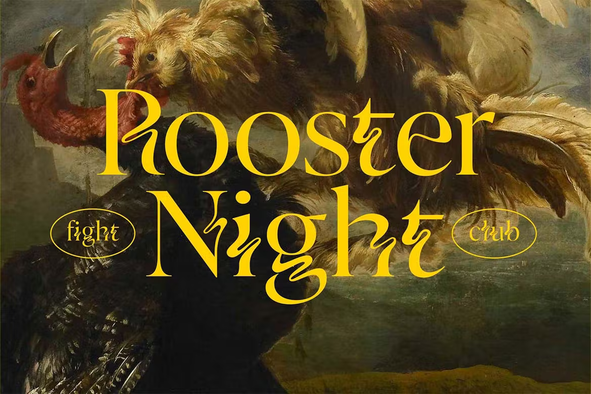 Zighead Display Font